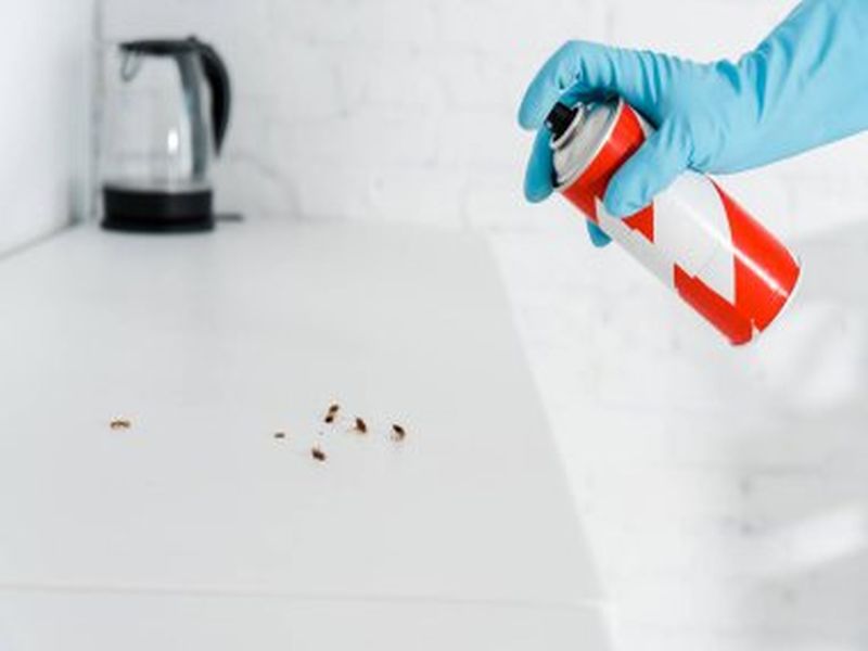 The Science of Pest Control in Sydney