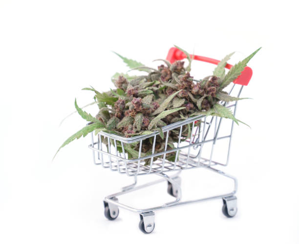 Weed Carts Explained Types, Benefits, and Usage Tips